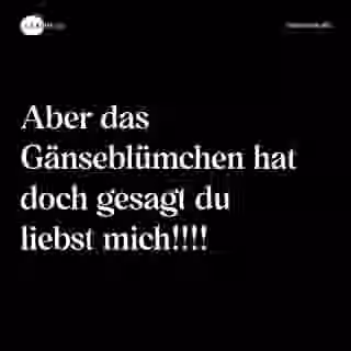 Aber das Gänseblümchen hat doch gesagt du liebst mich!!!! - Spruch Bild