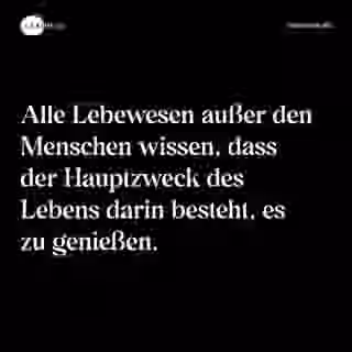 Das Leben genießen
