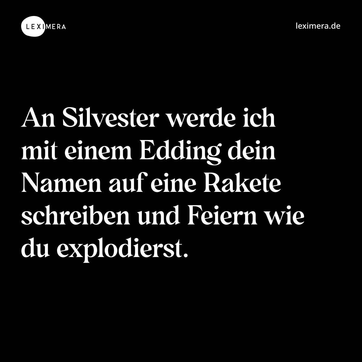 An Silvester werde ich mit einem Edding dein Namen auf eine Rakete schreiben und Feiern wie du explodierst. - Spruch Bild