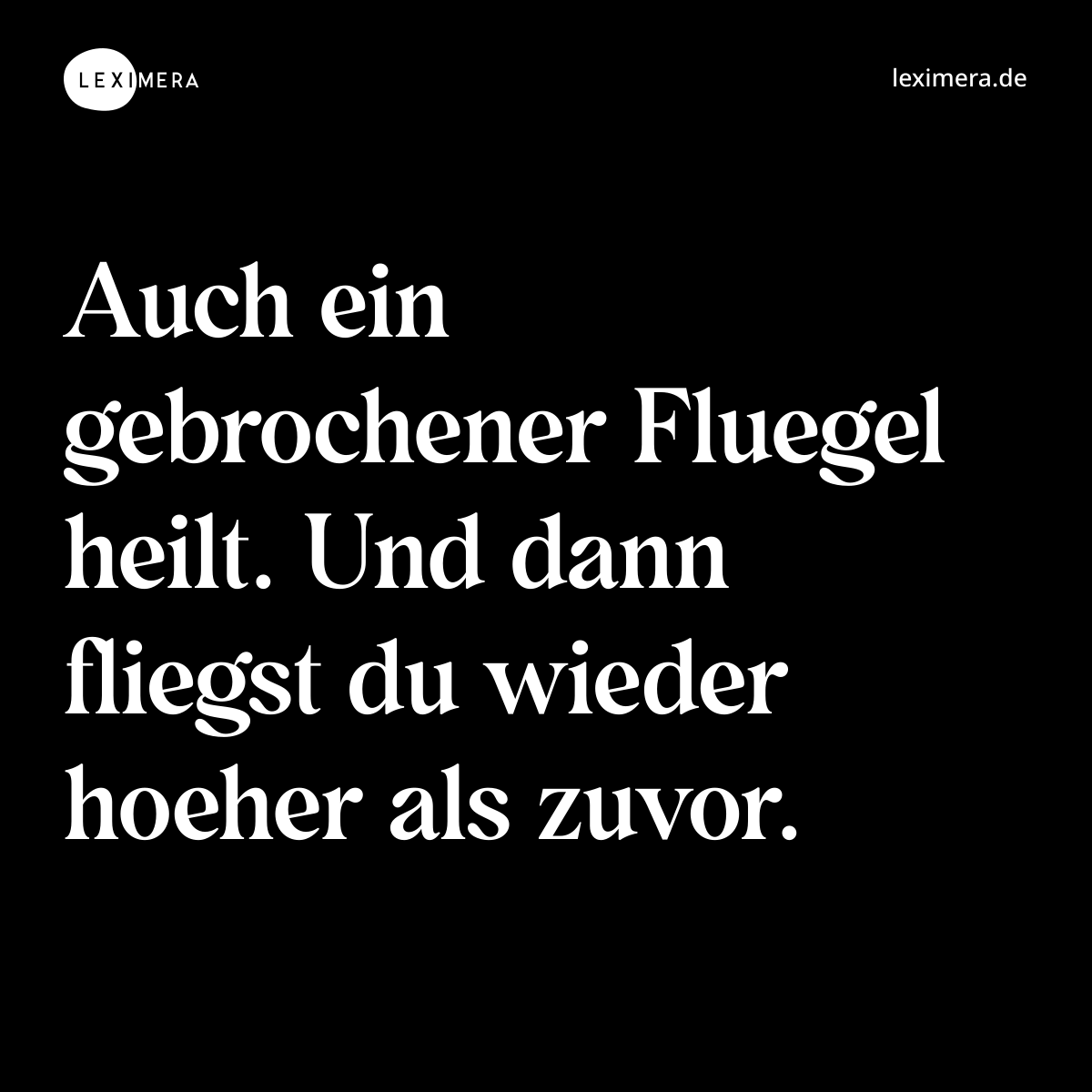 Auch ein gebrochener Fluegel heilt. Und dann fliegst du wieder hoeher als zuvor. - Spruch Bild