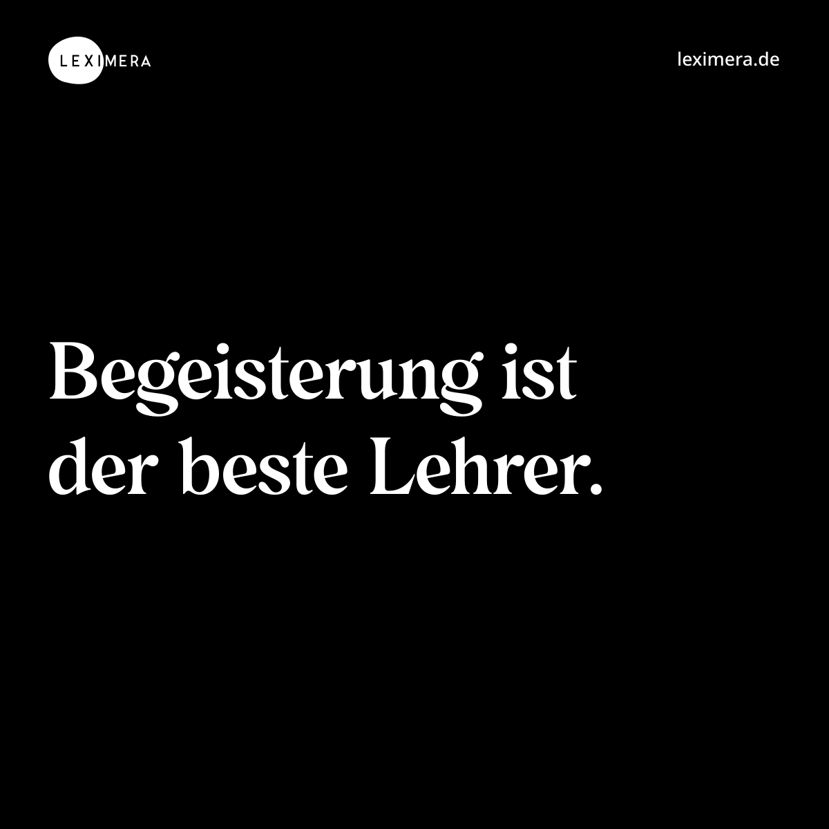 Begeisterung ist der beste Lehrer. - Spruch Bild