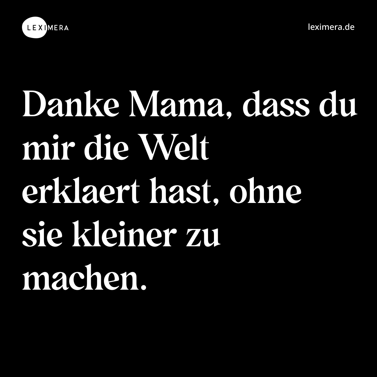 Die Welt erklaert ohne sie zu verkleinern