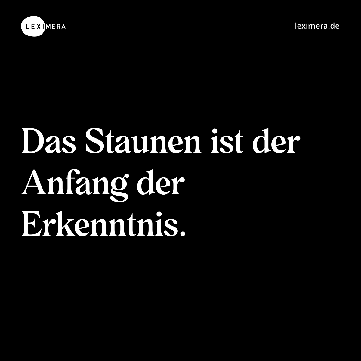Das Staunen ist der Anfang der Erkenntnis. - Spruch Bild