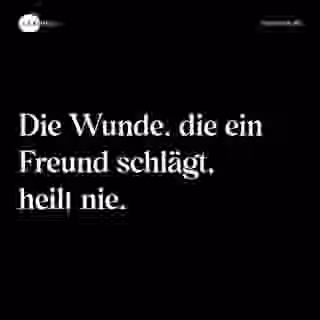 Die Wunde, die ein Freund schlägt, heilt nie. - Spruch Bild