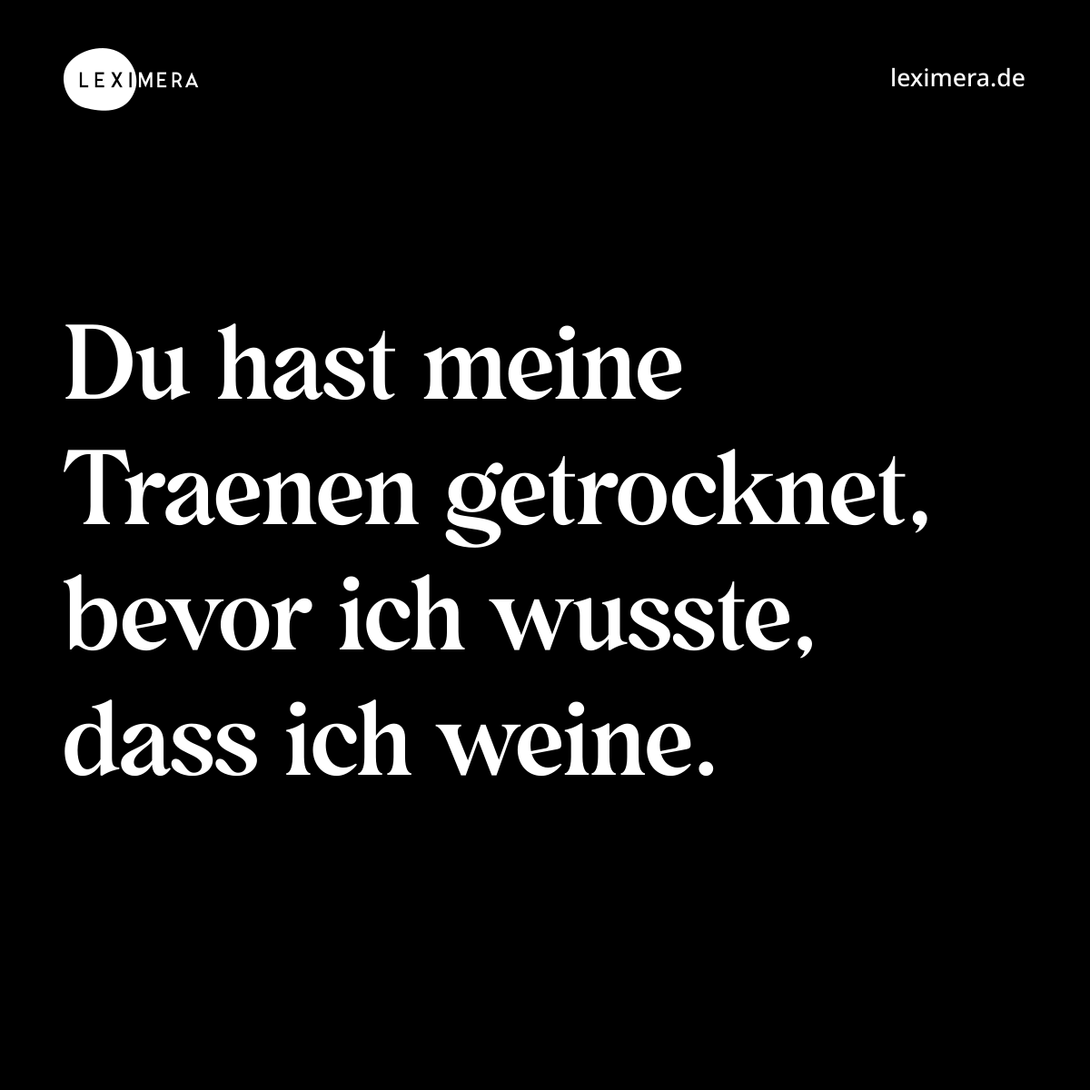 Du hast meine Traenen getrocknet, bevor ich wusste, dass ich weine. - Spruch Bild