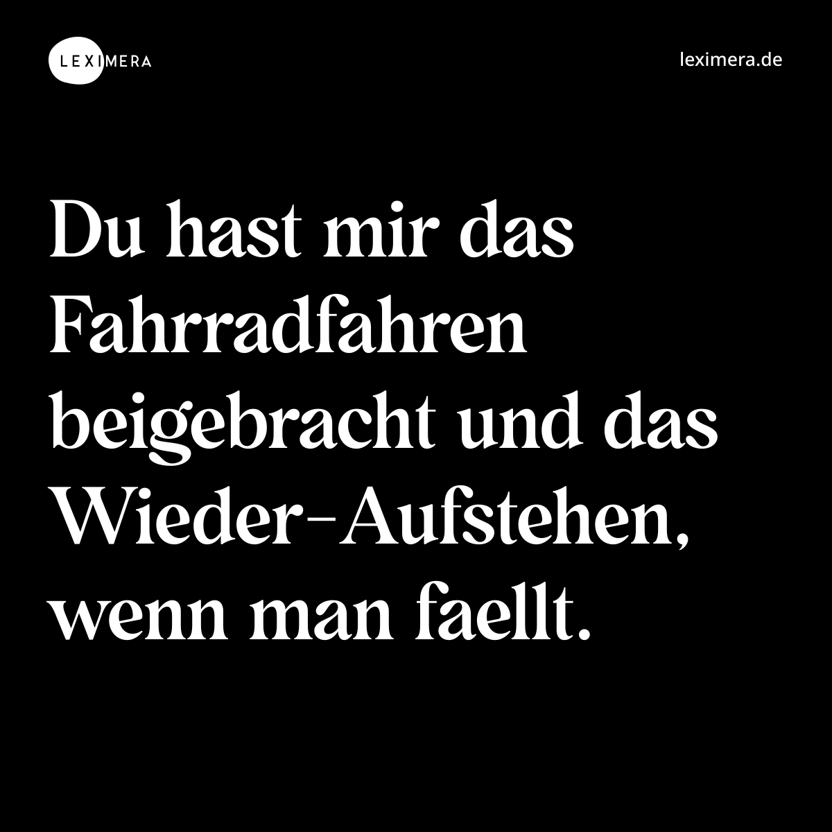 Du hast mir das Fahrradfahren beigebracht und das Wieder-Aufstehen, wenn man faellt. - Spruch Bild
