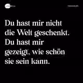 Du hast mir nicht die Welt geschenkt. Du hast mir gezeigt, wie schön sie sein kann. - Spruch Bild