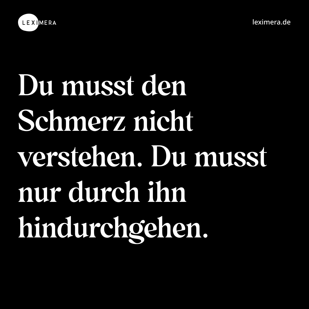 Du musst den Schmerz nicht verstehen. Du musst nur durch ihn hindurchgehen. - Spruch Bild