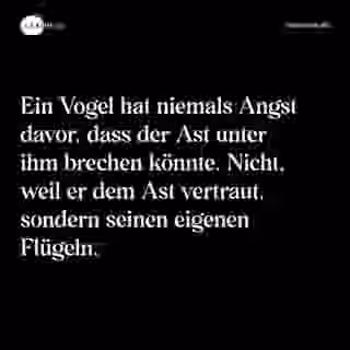 Ein Vogel hat niemals Angst davor, dass der Ast unter ihm brechen könnte. Nicht, weil er dem Ast vertraut, sondern seinen eigenen Flügeln. - Spruch Bild