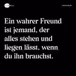 Ein wahrer Freund ist jemand, der alles stehen und liegen lässt, wenn du ihn brauchst. - Spruch Bild
