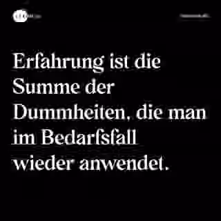 Erfahrung ist die Summe der Dummheiten, die man im Bedarfsfall wieder anwendet. - Spruch Bild