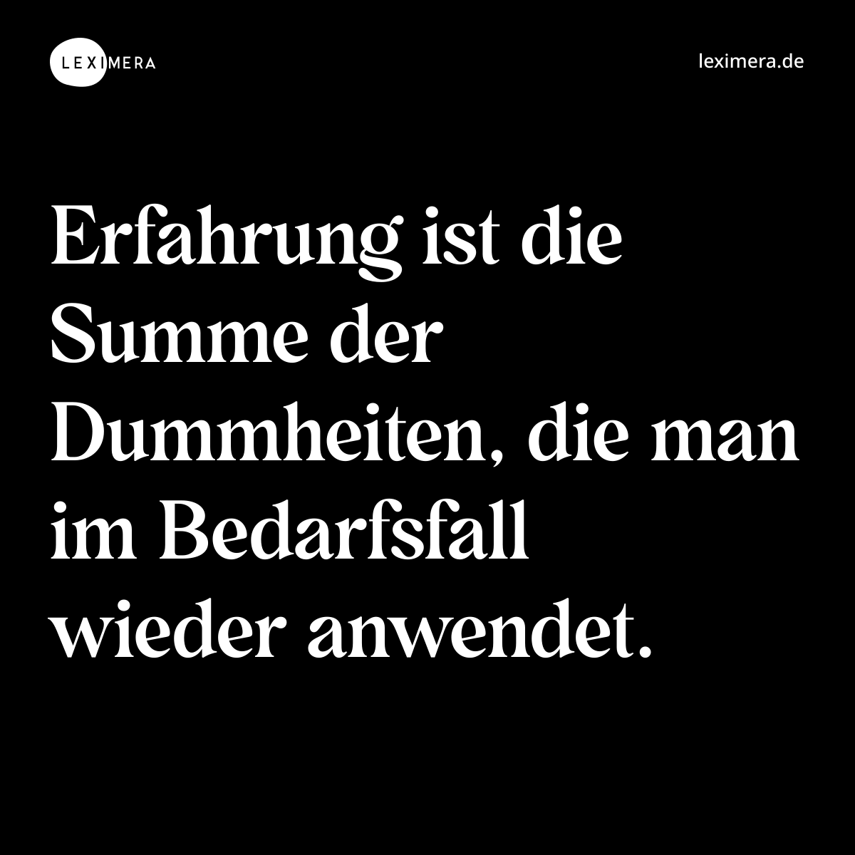 Erfahrung ist die Summe der Dummheiten, die man im Bedarfsfall wieder anwendet. - Spruch Bild