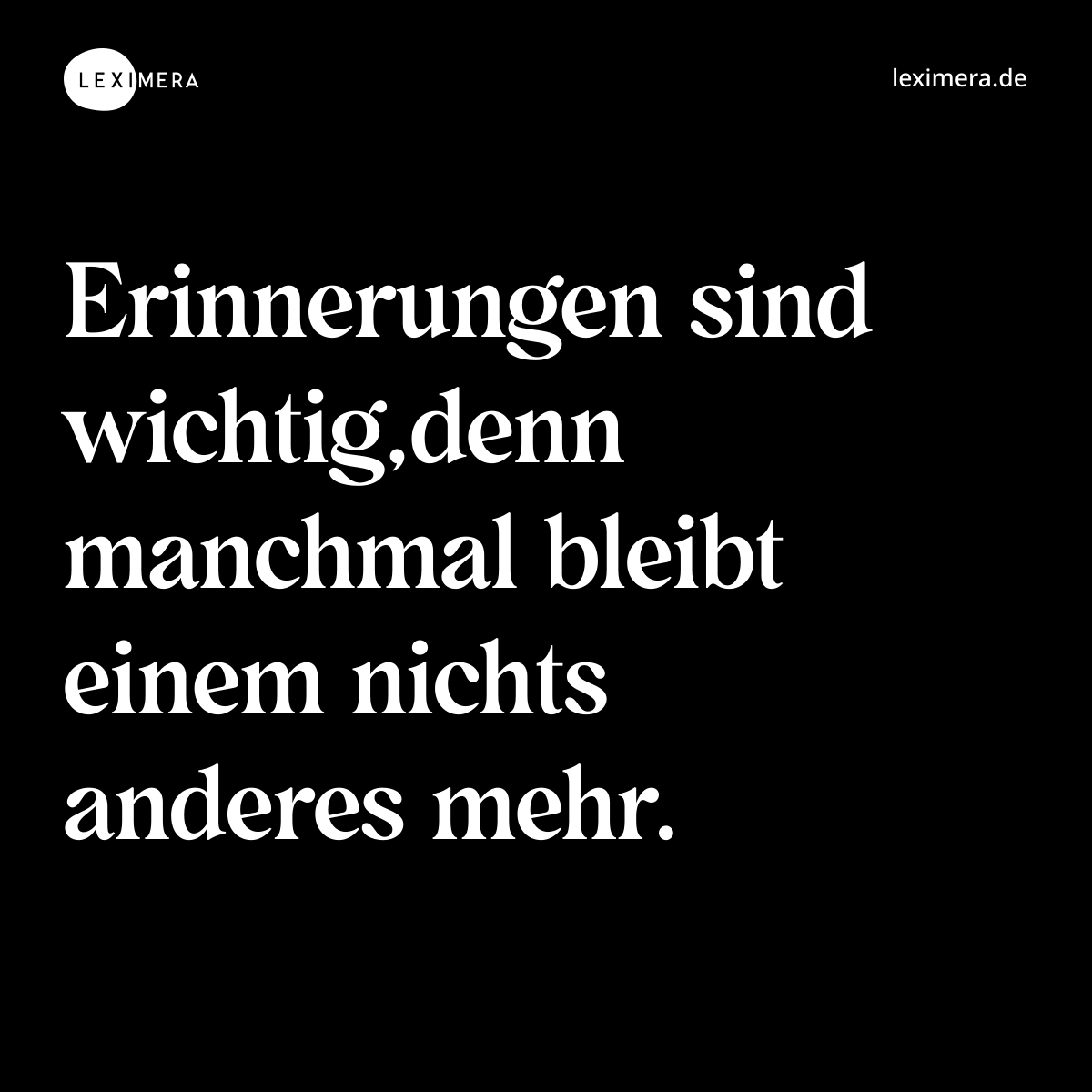 Erinnerungen sind wichtig,denn manchmal bleibt einem nichts anderes mehr. - Spruch Bild