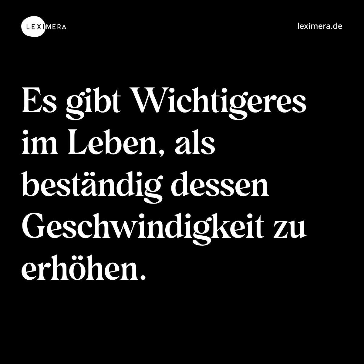 Es gibt Wichtigeres im Leben, als beständig dessen Geschwindigkeit zu erhöhen. - Spruch Bild