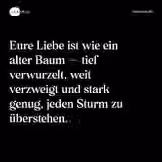 Eure Liebe ist wie ein alter Baum — tief verwurzelt, weit verzweigt und stark genug, jeden Sturm zu überstehen. - Spruch Bild