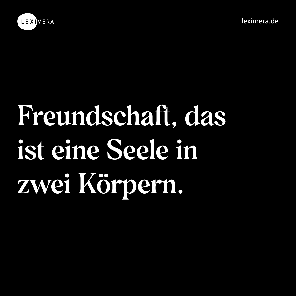 Freundschaft, das ist eine Seele in zwei Körpern. - Spruch Bild