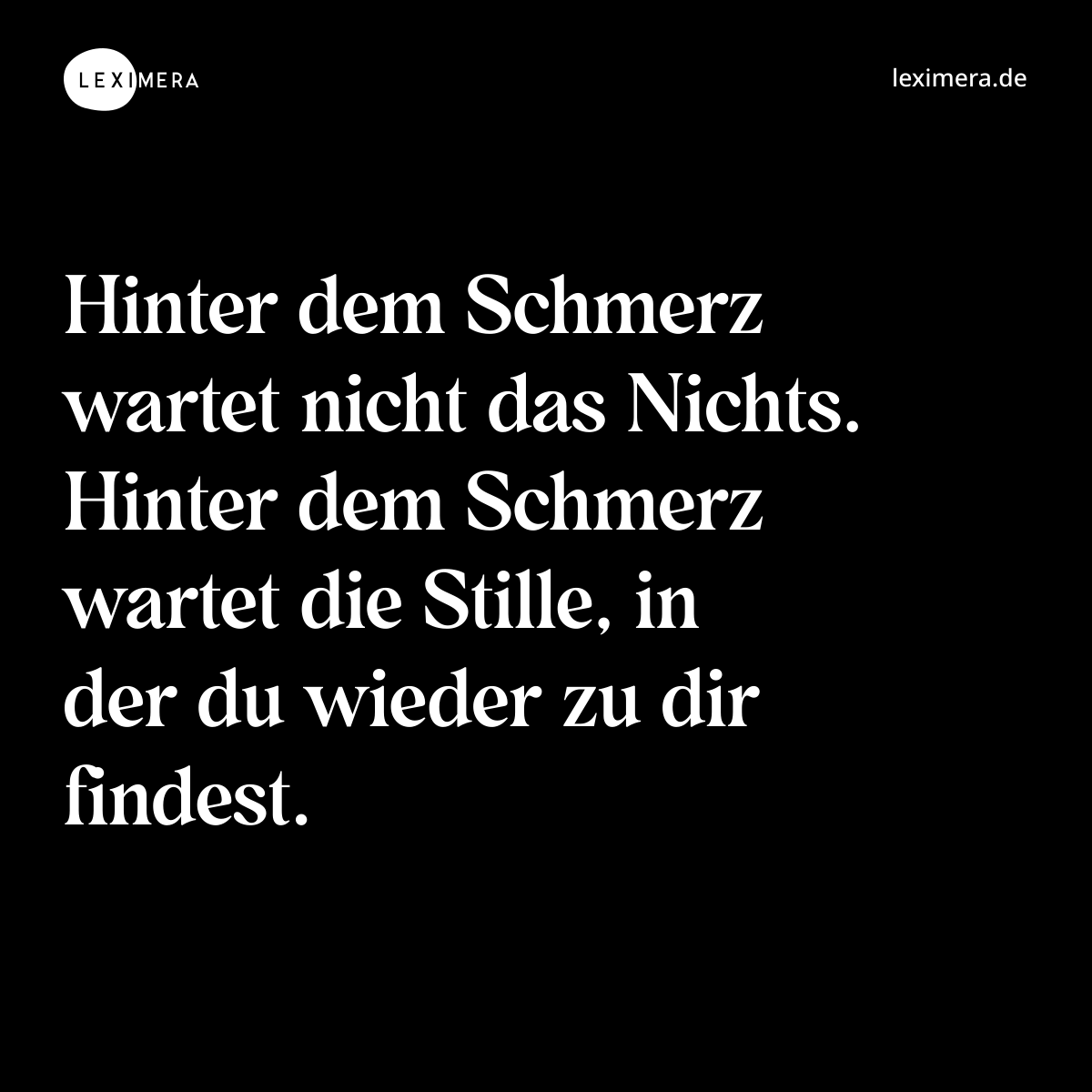 Hinter dem Schmerz wartet nicht das Nichts. Hinter dem Schmerz wartet die Stille, in der du wieder zu dir findest. - Spruch Bild