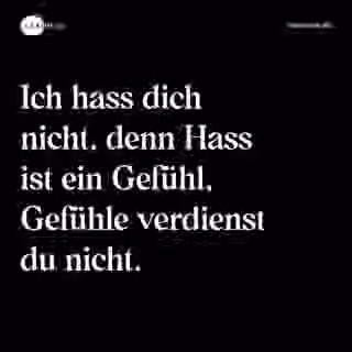 Ich hass dich nicht, denn Hass ist ein Gefühl, Gefühle verdienst du nicht. - Spruch Bild