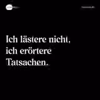 Ich lästere nicht, ich erörtere Tatsachen. - Spruch Bild