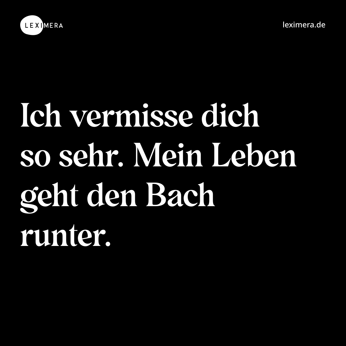 Ich vermisse dich so sehr. Mein Leben geht den Bach runter. - Spruch Bild