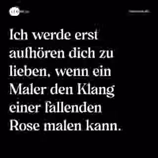 Ich werde erst aufhören dich zu lieben, wenn ein Maler den Klang einer fallenden Rose malen kann. - Spruch Bild