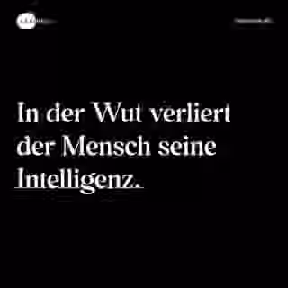 In der Wut verliert der Mensch seine Intelligenz. - Spruch Bild