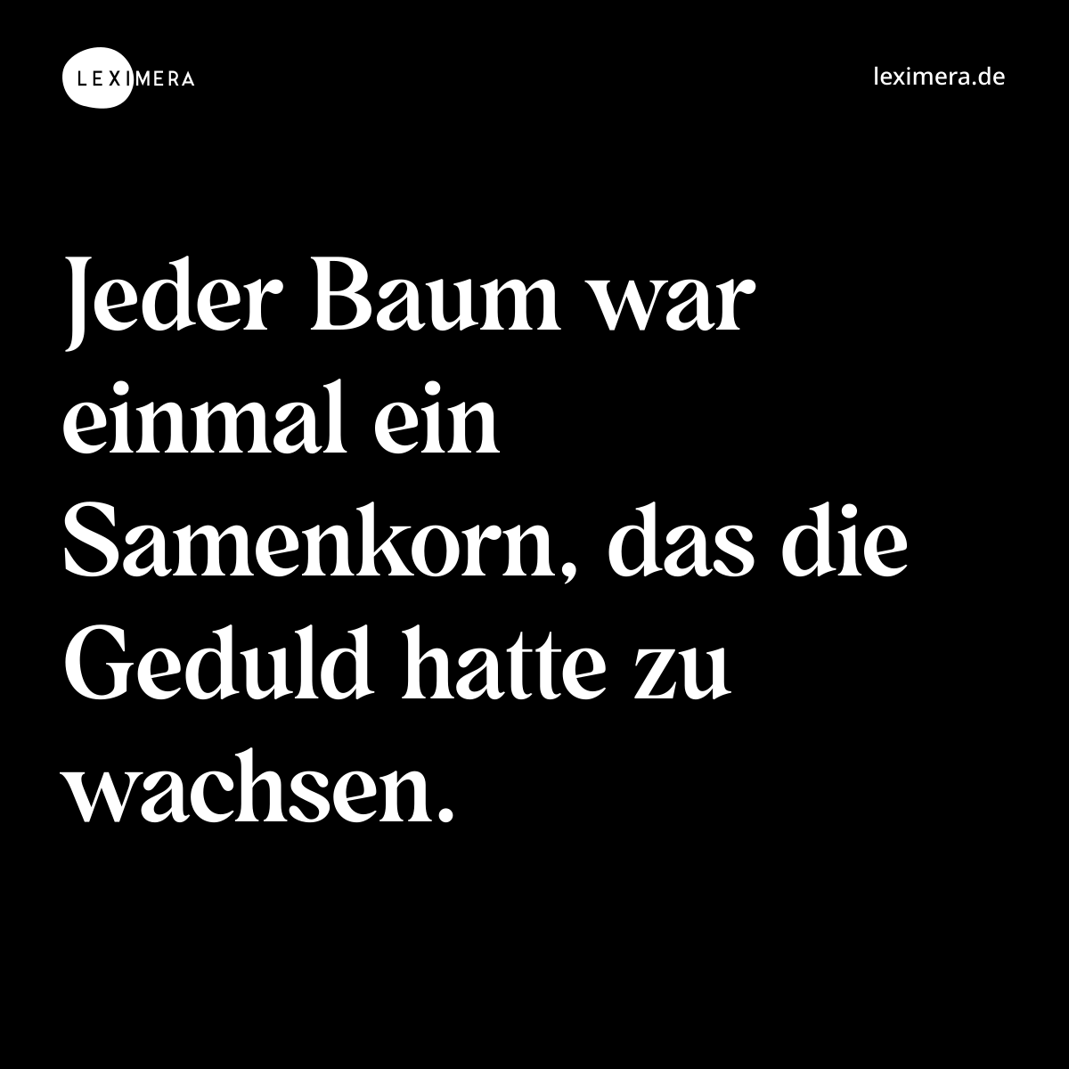 Jeder Baum war einmal ein Samenkorn, das die Geduld hatte zu wachsen. - Spruch Bild