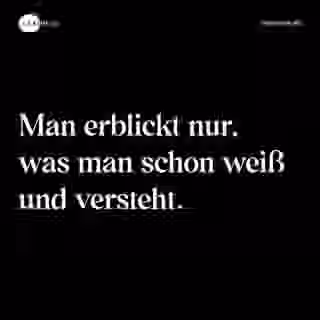 Man erblickt nur, was man schon weiß und versteht. - Spruch Bild