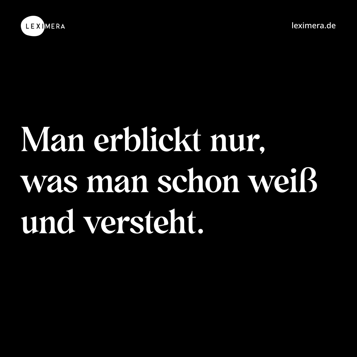 Man erblickt nur, was man schon weiß und versteht. - Spruch Bild