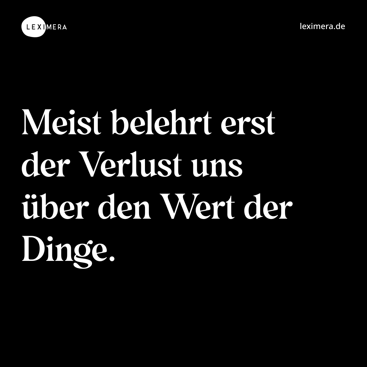 Meist belehrt erst der Verlust uns über den Wert der Dinge. - Spruch Bild