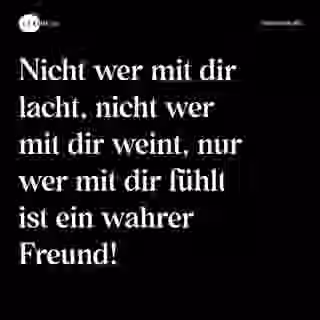 Nicht wer mit dir lacht, nicht wer mit dir weint, nur wer mit dir fühlt ist ein wahrer Freund! - Spruch Bild