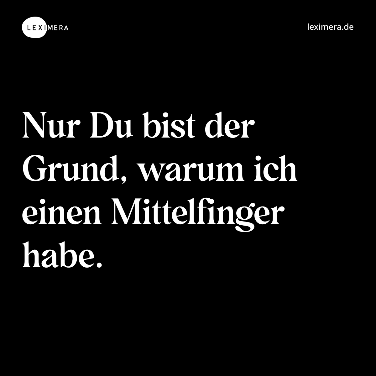Nur Du bist der Grund, warum ich einen Mittelfinger habe. - Spruch Bild