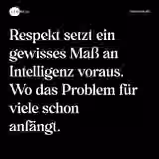 Respekt setzt ein gewisses Maß an Intelligenz voraus. Wo das Problem für viele schon anfängt. - Spruch Bild