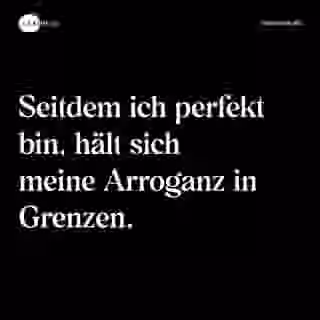 Seitdem ich perfekt bin, hält sich meine Arroganz in Grenzen. - Spruch Bild
