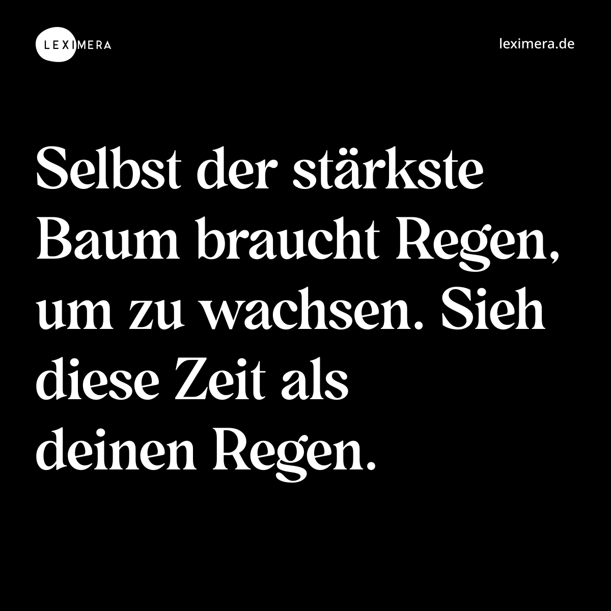 Selbst der stärkste Baum braucht Regen, um zu wachsen. Sieh diese Zeit als deinen Regen. - Spruch Bild