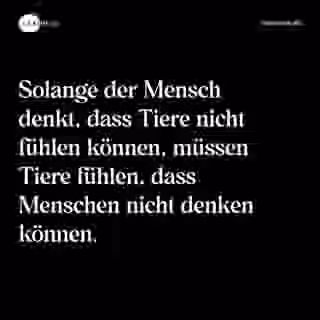 Solange der Mensch denkt, dass Tiere nicht fühlen können, müssen Tiere fühlen, dass Menschen nicht denken können. - Spruch Bild