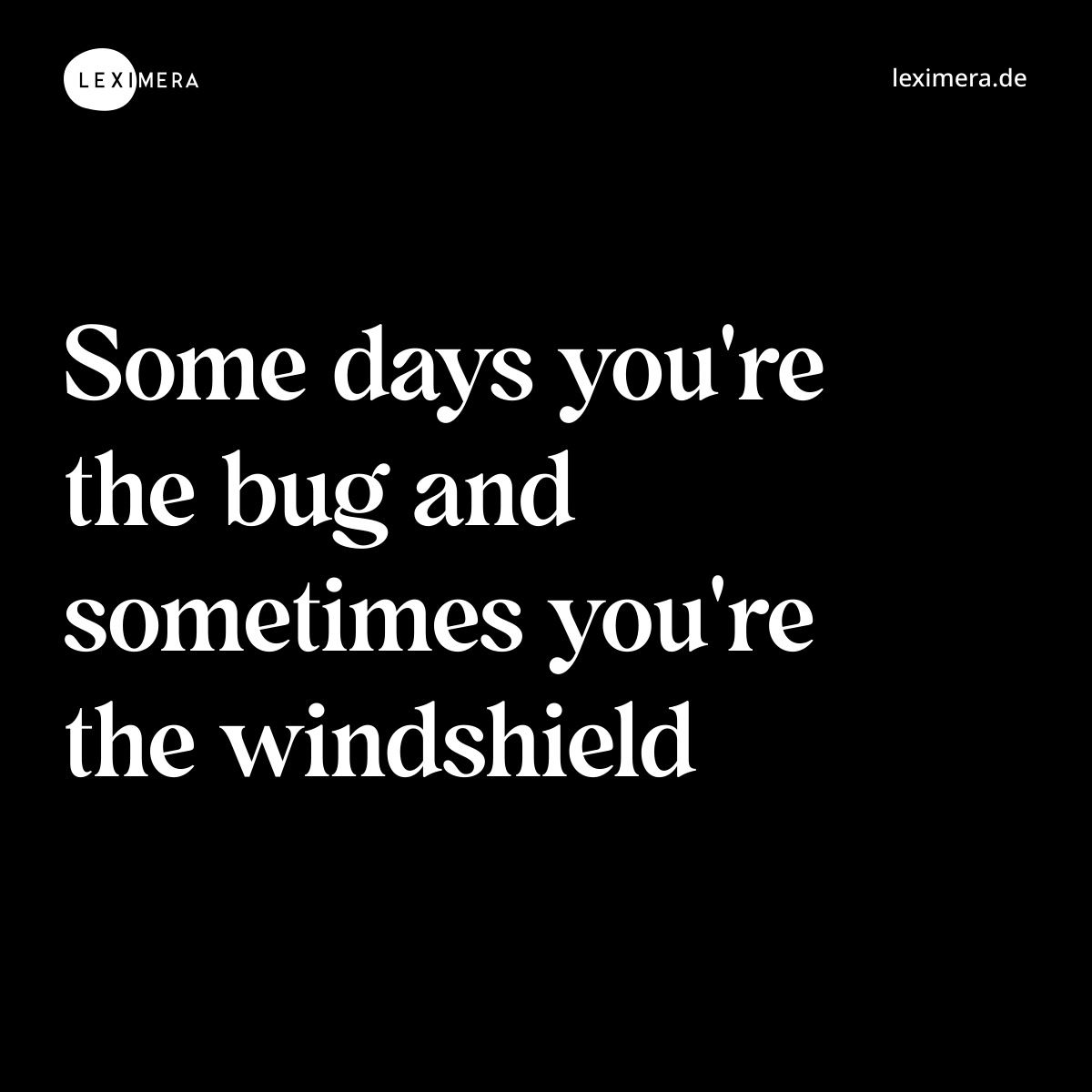 Some days you're the bug and sometimes you're the windshield - Spruch Bild