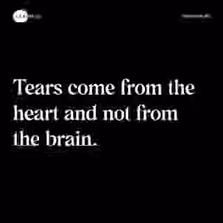 Tears come from the heart and not from the brain. - Spruch Bild