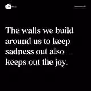 The walls we build around us to keep sadness out also keeps out the joy. - Spruch Bild