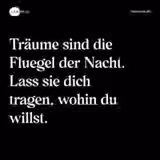 Träume sind die Fluegel der Nacht. Lass sie dich tragen, wohin du willst. - Spruch Bild