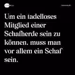Um ein tadelloses Mitglied einer Schafherde sein zu können, muss man vor allem ein Schaf sein. - Spruch Bild