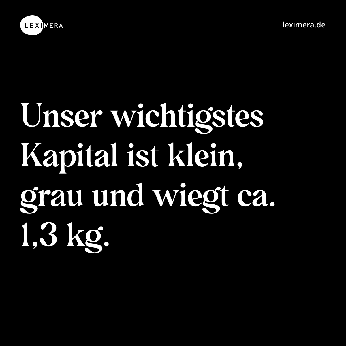 Unser wichtigstes Kapital ist klein, grau und wiegt ca. 1,3 kg. - Spruch Bild