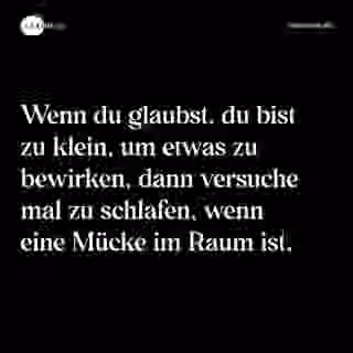 Wenn du glaubst, du bist zu klein, um etwas zu bewirken, dann versuche mal zu schlafen, wenn eine Mücke im Raum ist. - Spruch Bild