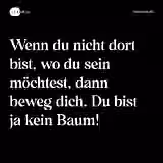 Wenn du nicht dort bist, wo du sein möchtest, dann beweg dich. Du bist ja kein Baum! - Spruch Bild