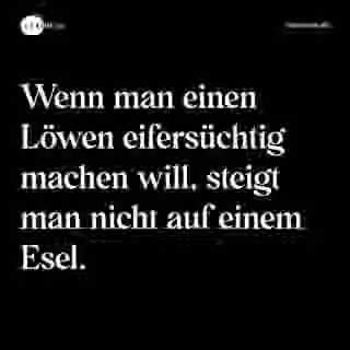 Wenn man einen Löwen eifersüchtig machen will, steigt man nicht auf einem Esel. - Spruch Bild