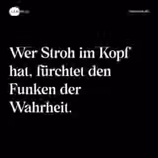 Wer Stroh im Kopf hat, fürchtet den Funken der Wahrheit. - Spruch Bild