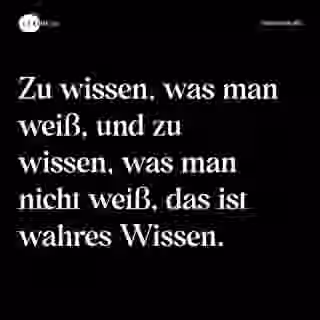 Zu wissen, was man weiß, und zu wissen, was man nicht weiß, das ist wahres Wissen. - Spruch Bild