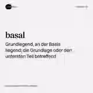 basal - Visualisierung