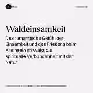 Waldeinsamkeit - Wort Bild